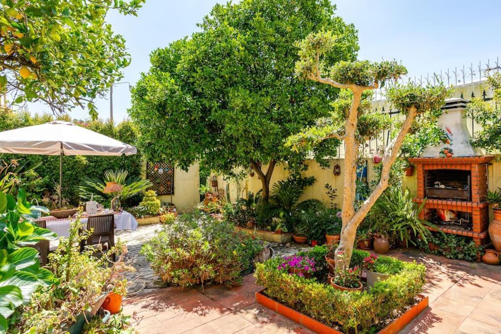 Studio & Garden Lisbon Exterior photo
