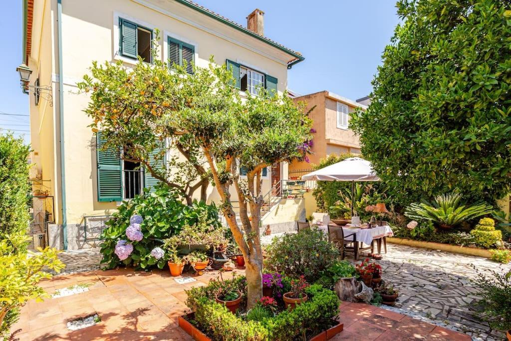 Studio & Garden Lisbon Exterior photo